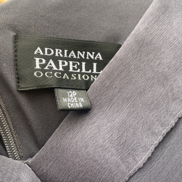 NWT Adrianna Papell Occasions Smokey Grey Full Length Dress - Picture 7 of 7